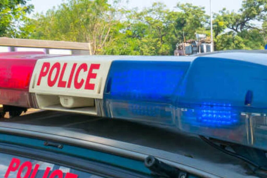 Stampede During Nikita Gandhi's Concert in Kerala's Cochin, 4 Feared Dead