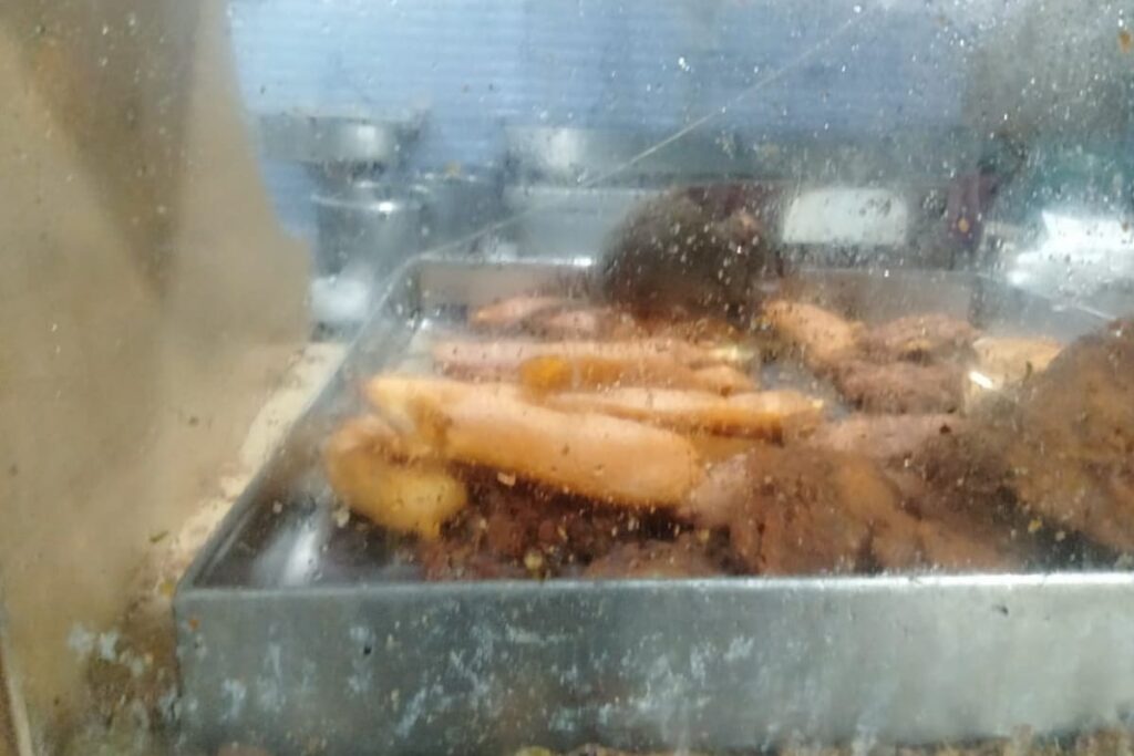 WATCH | Rat Runs Through Fritters at Chennai Hosp Canteen, Admin Blames it on Diwali Holiday