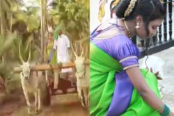 Young Farmer Couple's Unique Pre-Wedding Photoshoot In Agricultural Field