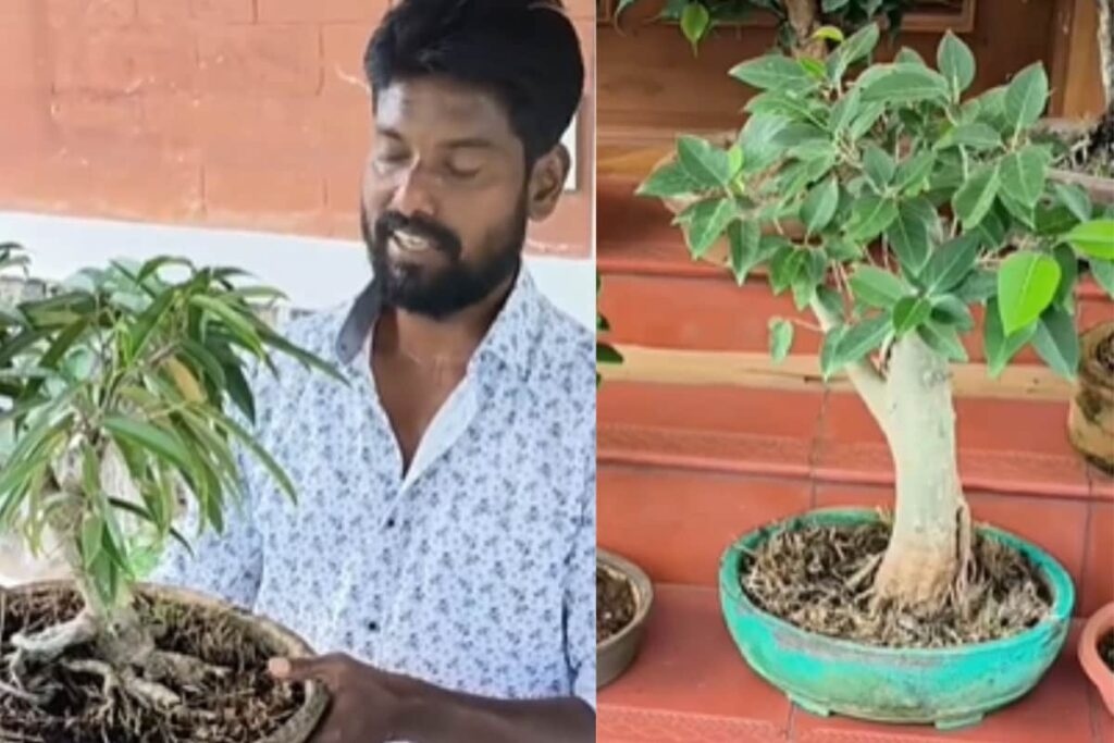 This Tamil Art Teacher’s Unique Bonsai Tree Garden Has Locals’ Attention