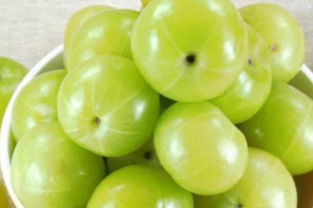 How Amla Can Help Control Blood Sugar Levels In Diabetic Patients