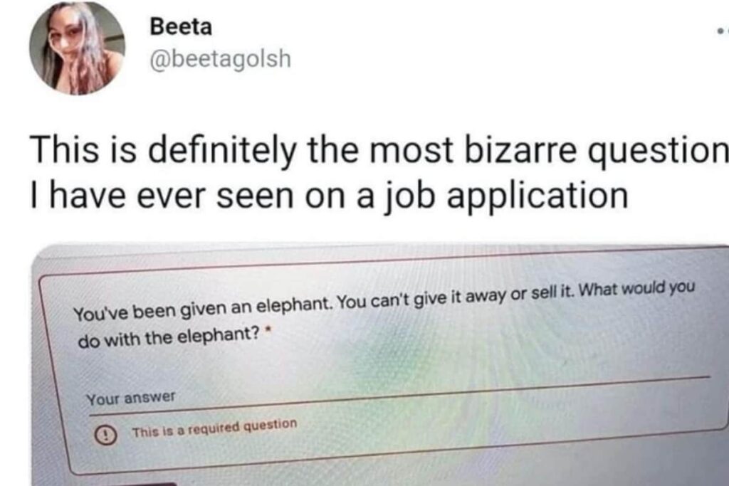 This ROFL Question Asked In A Job Interview Is Trending