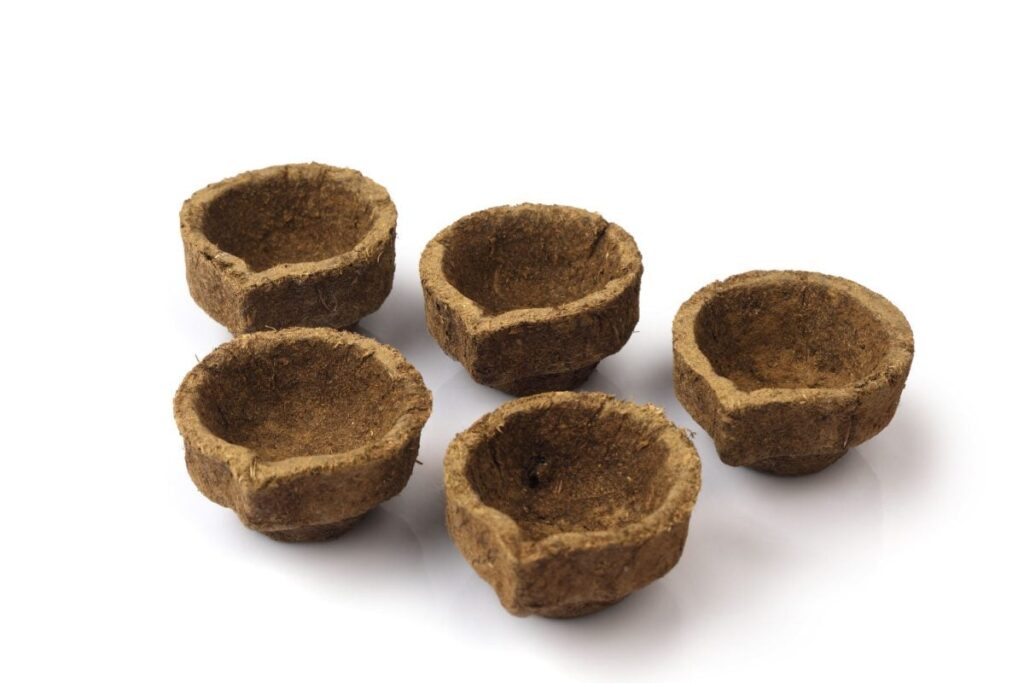 Diwali 2023: Jaipur-based Organisation Makes 3 Lakh 'Diyas' Using Cow Dung