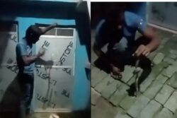 Drunk UP Man Plays With Snake, Gets Bitten, Dies. Video Goes Viral