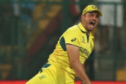 Australia's Marcus Stoinis Travelling with Personal Indian Chef During ICC World Cup 2023