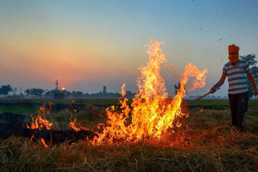 Punjab Records Over 100 Farm Fires; Haryana's Air Quality at Many Places in 'Moderate' Category