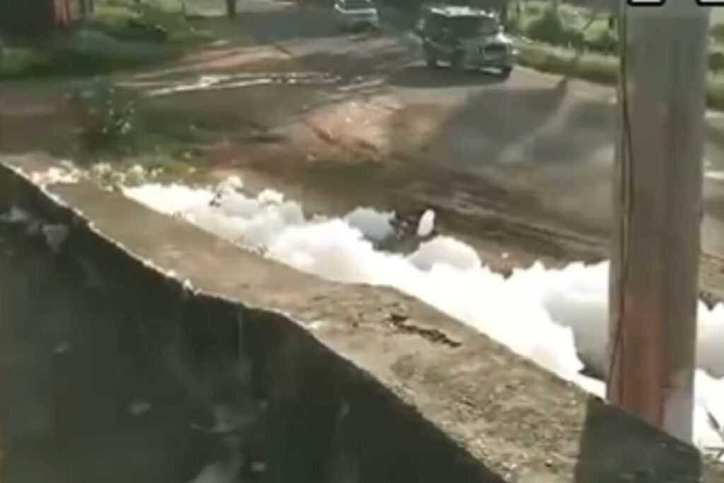 Watch | Toxic Foam Overflows from Canal to Madurai Roads Amid Heavy Rains, Poses Risk to Commuters