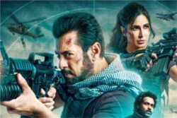 Tiger 3: ICC World Cup Finals Affect Box Office Collection, Film Mints Rs 10.25 Cr On Sunday; Deets