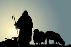 Spanish Shepherds Celebrate 30 Years Of GPS-Enhanced Transhumance Tradition