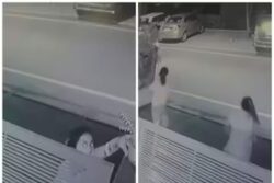 Watch: In Punjab's Mohali, Two Women Arrive In Sedan To Steal Flowerpots; Internet Stunned