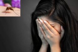 Delhi Girl 'Haunted' By Mosquitoes Due to 'Toxic' Boyfriend is The New-age Rant No One Saw Coming