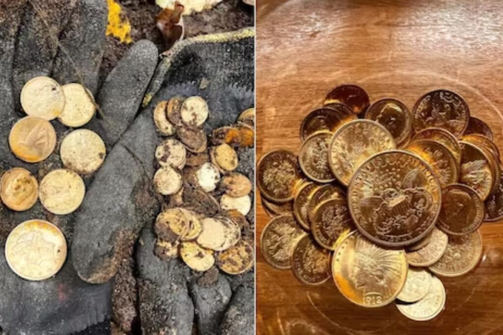 Metal Detectorists Discover Gold Treasure From World War II In Poland