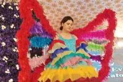 In Andhra Pradesh's East Godavari, Human Basket Dolls Seen At Wedding Reception