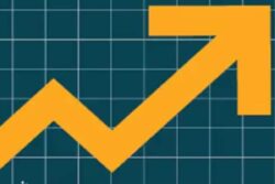 Honasa Consumer's Profit Rises 93% to Rs 29.4 Crore in September 2023 Quarter