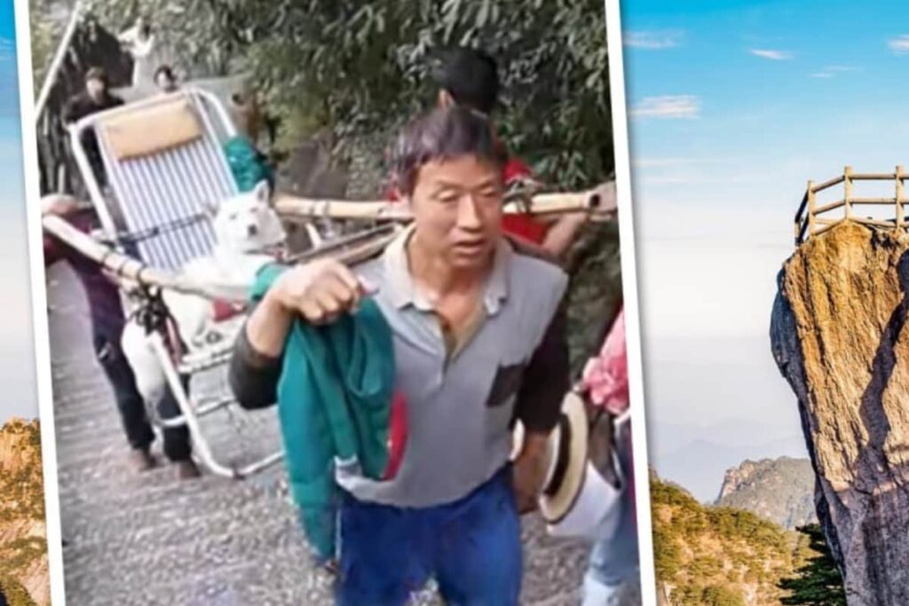 Woman In China Pays Rs 11,000 For Carrying Her Dog To Mountain Top