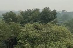 'Please Help Us Breathe Again’: Mumbaikars Worry As City Wakes Up To Thick Haze