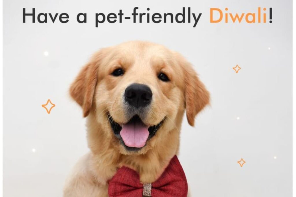 Here Are Some Ways In Which One Can Celebrate A Pet-Friendly Diwali