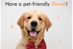 Here Are Some Ways In Which One Can Celebrate A Pet-Friendly Diwali