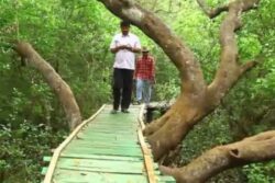 This Wildlife Sanctuary, Known For Its Mangrove Plantation, Is A Must Visit In Andhra Pradesh