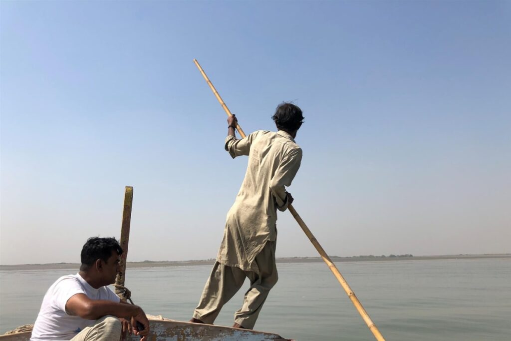 Pakistan's Karachi Fisherman Becomes Millionaire Overnight After Selling Rare Fish