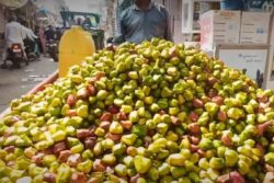 How This Fruit Brings Prosperity To The Farmers Of Rajasthan's Bharatpur