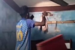 Watch: The Moment Puducherry Snake Handler Caught Poisonous Reptile