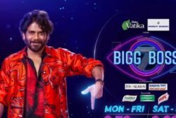 Bigg Boss Telugu 7: Survey Enlists Five Potential Finalists