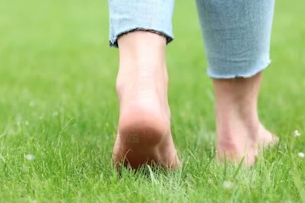 How Walking Barefoot On Grass In Winter Mornings Helps Your Health