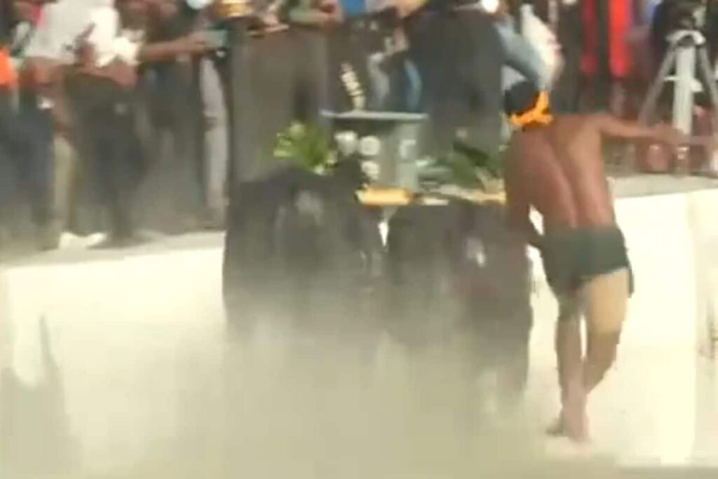 First-ever Kambala Buffalo Race, Inspired By Rishabh Shetty's Kantara, Takes Place In Bengaluru