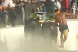 First-ever Kambala Buffalo Race, Inspired By Rishabh Shetty's Kantara, Takes Place In Bengaluru