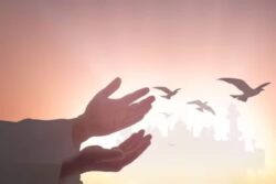 What Do Islamic Phrases Masha Allah And Subhan Allah Mean? Quora Discusses