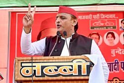 Don't Vote for Congress, They're 'Chalu': Akhilesh Yadav's Dig at INDIA Bloc Partner During MP Poll Rally
