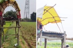 Andhra Farmers' Unique Solution To Protect Crops From Stray Animals