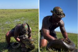 Trending: Man Grabs Anaconda With Bare Hands As If It's A Toy