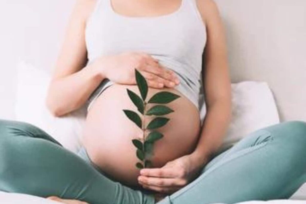 Plant-based Nutritional Supplements for Children and Pregnant Women