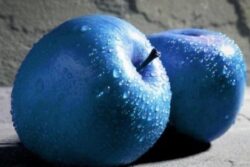 Do Blue Apples Grow Naturally? Question Has Internet Divided