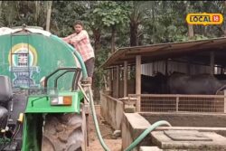 Telangana Farmer Develops Cow-based Fertilizer, Earns in Lakhs by Selling It