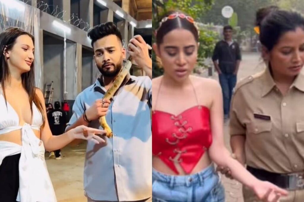 Elvish Yadav Named In FIR After Snake Venom Caught In Rave Party; Urfi Javed Arrested?