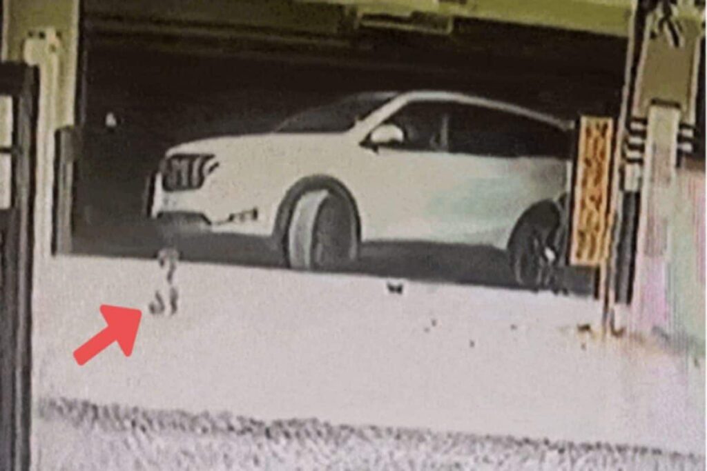 Bengaluru: 3-Year-Old Playing Outside Apartment Crushed to Death by Car | On Cam