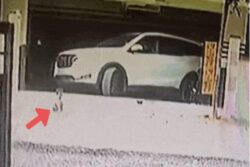 Bengaluru: 3-Year-Old Playing Outside Apartment Crushed to Death by Car | On Cam