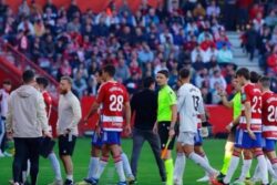La Liga: Granada vs Athletic Bilbao Fixture Abandoned Following Demise of Fan