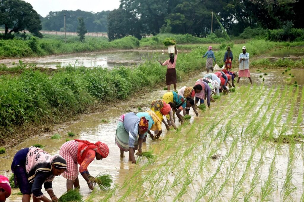 Opinion | Integrated Soil and Water Management Essential to Achieve Food Security in India