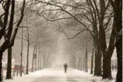 Heavy Snow Paralyses Germany, 760 Flights Affected, Roads Blocked