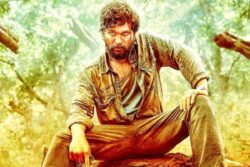 Allu Arjun Faces SEVERE Back Pain During Pushpa 2 Fight Sequence; Shooting POSTPONED