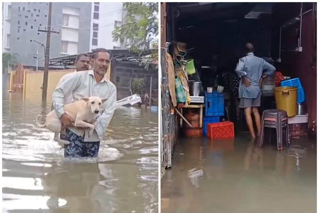 News18 Afternoon Digest: Cyclone Michaung Expected to Make Landfall in AP Before 1:30 PM And Other Top Stories