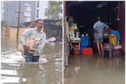 News18 Evening Digest: Landfall Process On, Schools in Rain-hit Chennai Shut Tomorrow and Other Top Stories