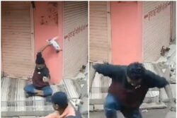 MP Horror: In Shocking Video, Man Seen Thrashing, Stomping On Puppy in Guna; CM Shivraj Reacts