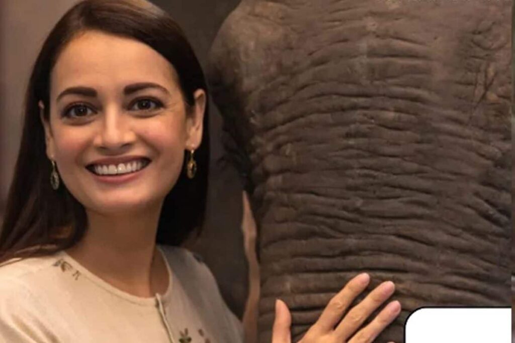 Dia Mirza Named 'Person Of The Year' By PETA India
