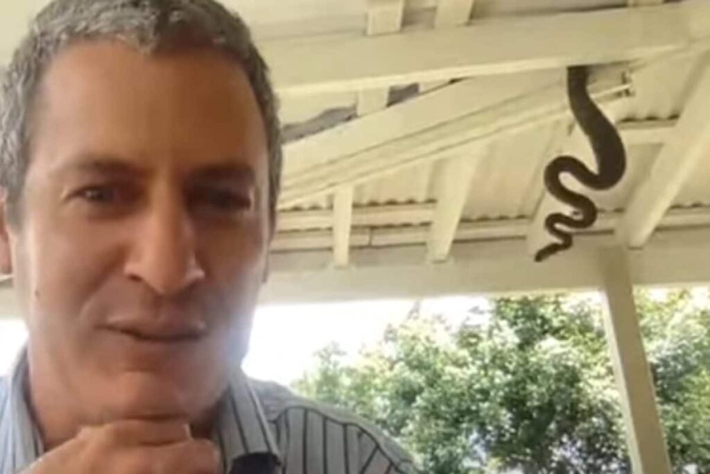 Snake's Special Appearance In This Podcast Is The Perfect Peek-A-Boo Moment