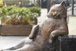 Istanbul Honours Beloved Stray Cat With A Statue After Death